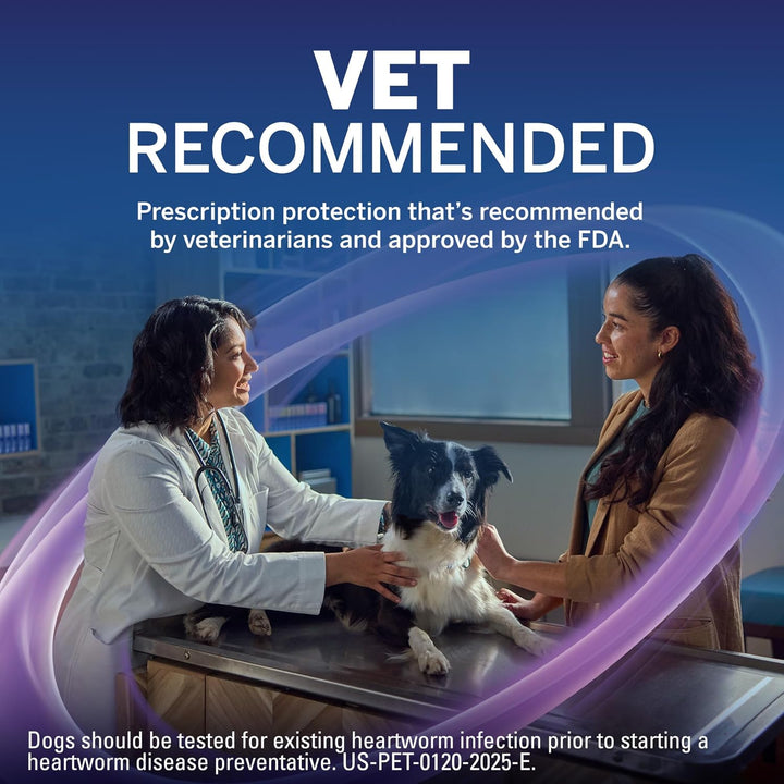 plus (Afoxolaner, Moxidectin, and Pyrantel) Flea and Tick Protection & Heartworm Preventive for Dogs Soft Beef Flavored Chewables, 33.1-66 Lbs. (Purple) 6 Chews (6 Month Supply)