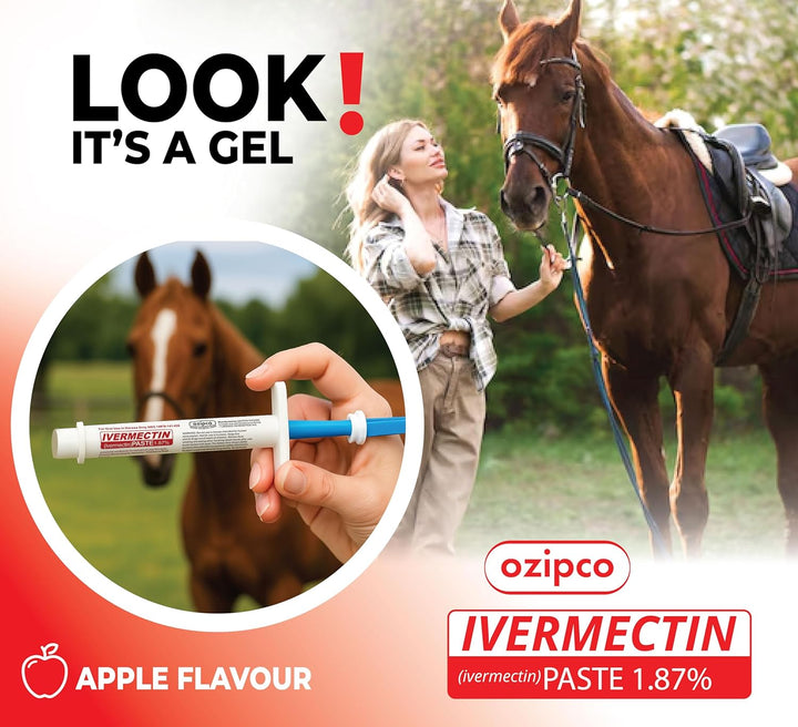 Ivermectin Horse Paste 1.87% | Apple Flavor – 6.08G Syringe for Equine Use Only up to 1250 LB