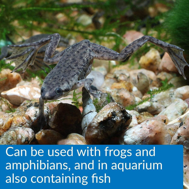 TURTLE SLUDGE DESTROYER Aquarium Cleaner and Sludge Remover Treatment 8-Ounce Bottle