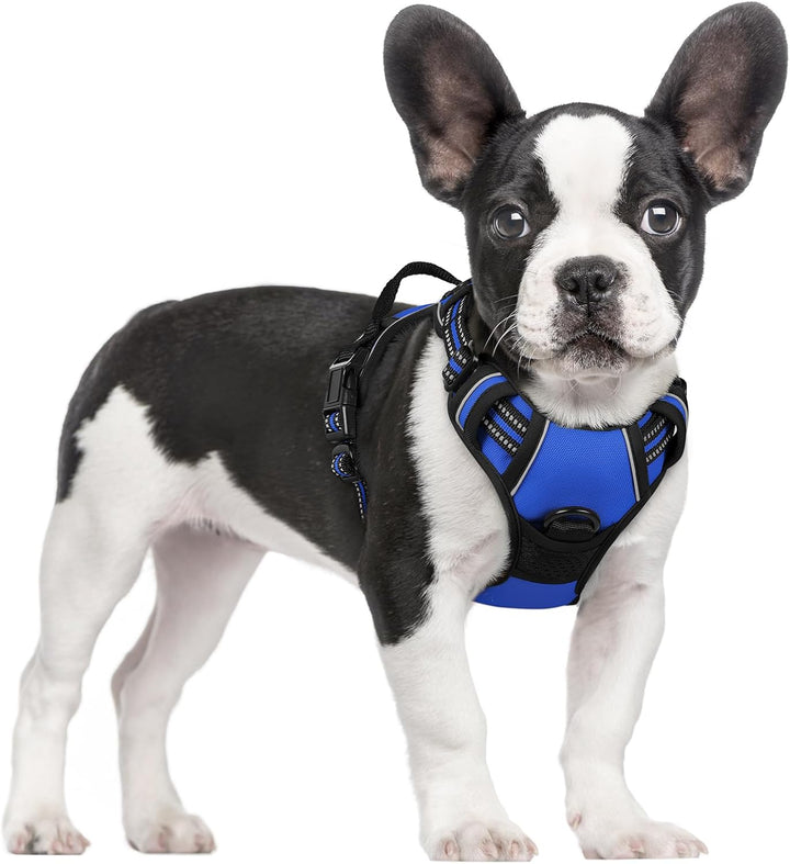 Dog Harness No Pull with 2 Leash Clips, Adjustable Soft Padded, Reflective Oxford No Choke Pet Vest with Easy Control Handle for Large Dogs, Black, L