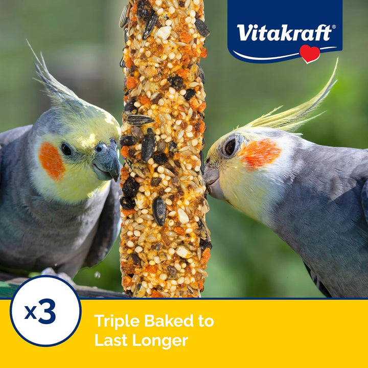 Crunch Sticks Cockatiel Treat - Apricot and Peach - Pet Bird Treat Toy, 3.5 Oz