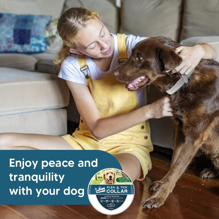 Flea Collar for Dogs, 8 Months Protection Flea & Tick Collars for Dogs, Dog Tick Collar, Adjustable One Size Fits All 2 Count ﻿