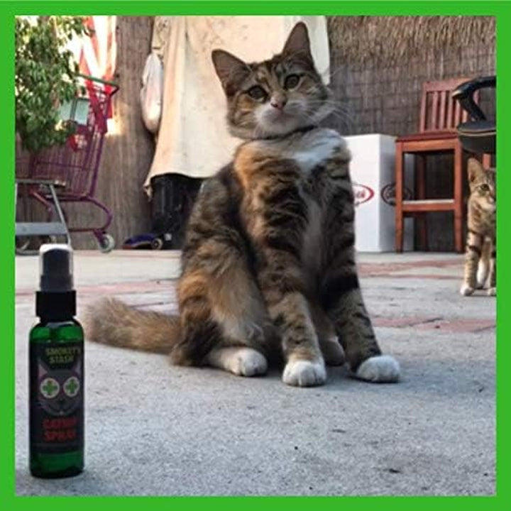 Cat Catnip Spray and Dried Organic Catnip Combo Maximum Potency Cat Nip Bundle
