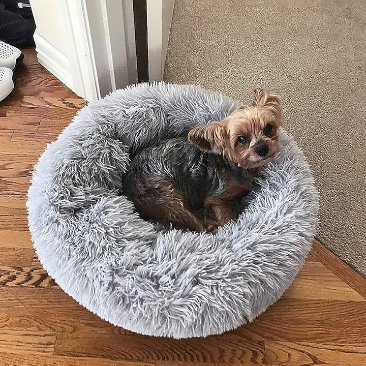 Small Calming Dogs Bed for Small Dogs Anti-Anxiety Machine Washable Fluffy Luxury Anti-Slip Waterproof Mute Base Warming Cozy Soft Pet Puppy round Bed
