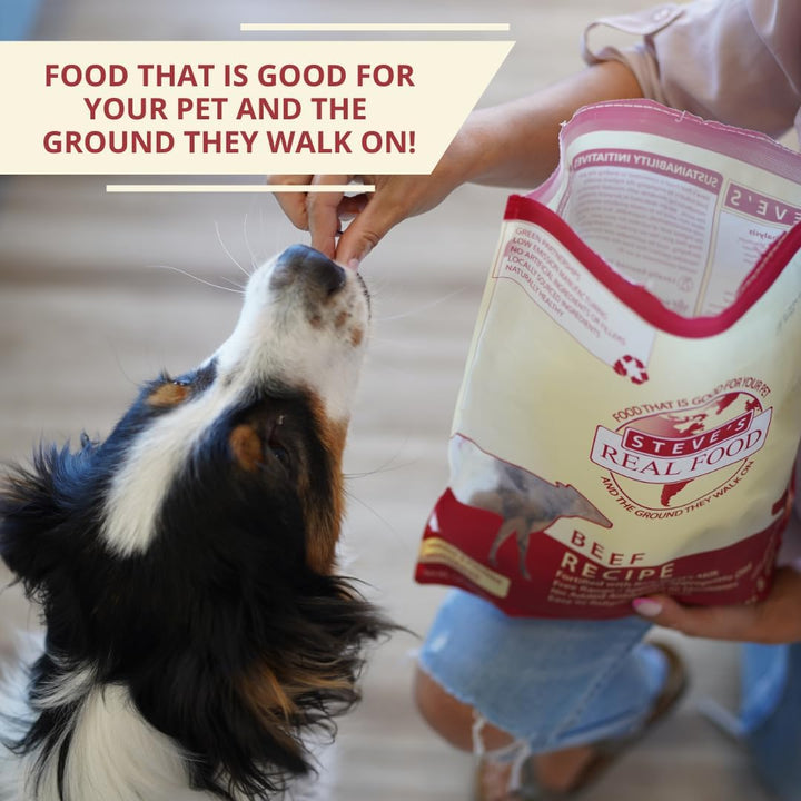 Freeze-Dried Raw Nuggets - Beef Recipe - Raw Pet Food for Dogs and Cats - 20 Oz