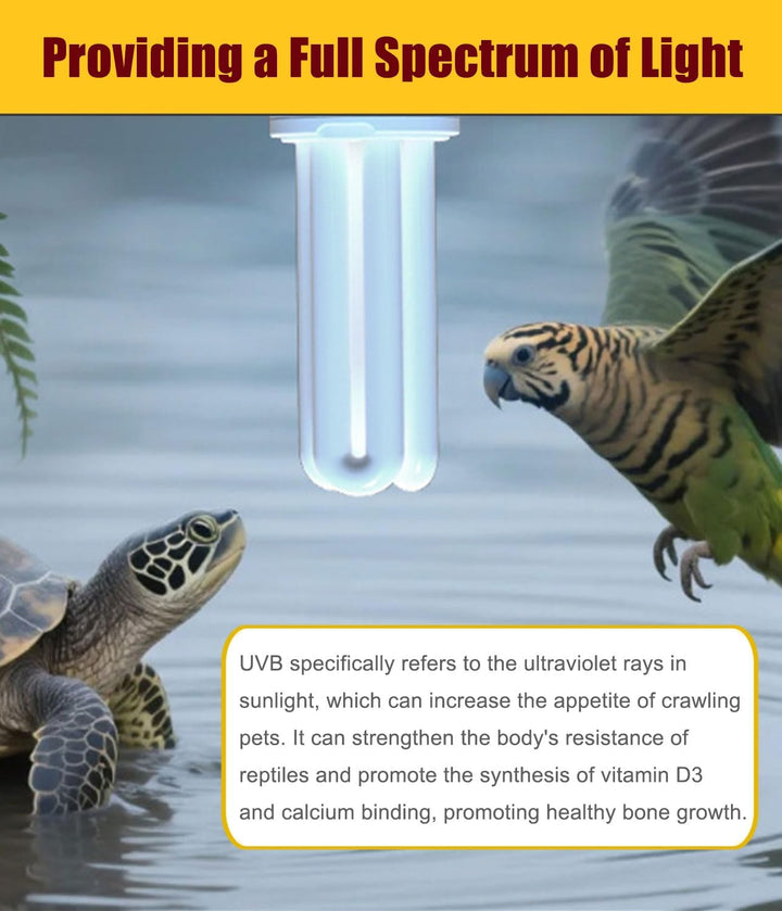 2 Pack E26 UVA UVB Light Bulb for Birds 2.4 UVB 20W Compact Flourescent Lamp for All Kinds Captive Birds, Natural Sunlight Simulation Bird Parrot Light Bulb