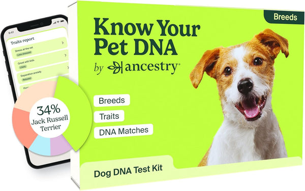 Ancestry Dog DNA Test: At-Home Testing, Breed Identification & Trait Insights, Canine Genetics Analysis, Unique Pet Parent Gift, New Puppy Essentials