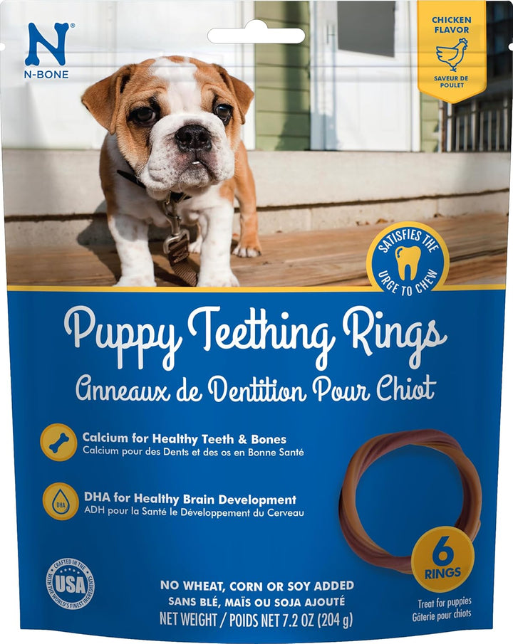 Puppy Teething Ring Pumpkin Flavor 7.2 OZ/(6 Pack)