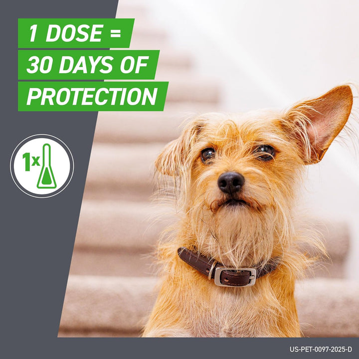 plus Flea and Tick Treatment for Large Dogs up to 45 to 88 Lbs. 3 Treatments