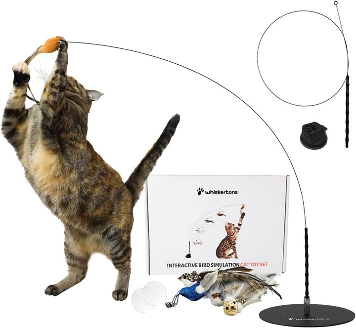 Interactive Bird Simulation Cat Toy Set, Interactive Cat Toys for Indoor Cats, Cat Feather Toy, Self-Holding Suction Base, 5 Replacement Birds, Feathers & Bells, Realistic Bird Impression