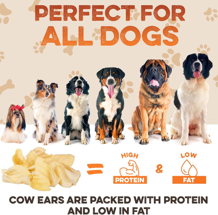 Cow Ears for Dogs – Whole Ears 30 Ct, Thick Cut, Grass-Fed Angus Beef, All-Natural No-Rawhide Dog Treat Alternative