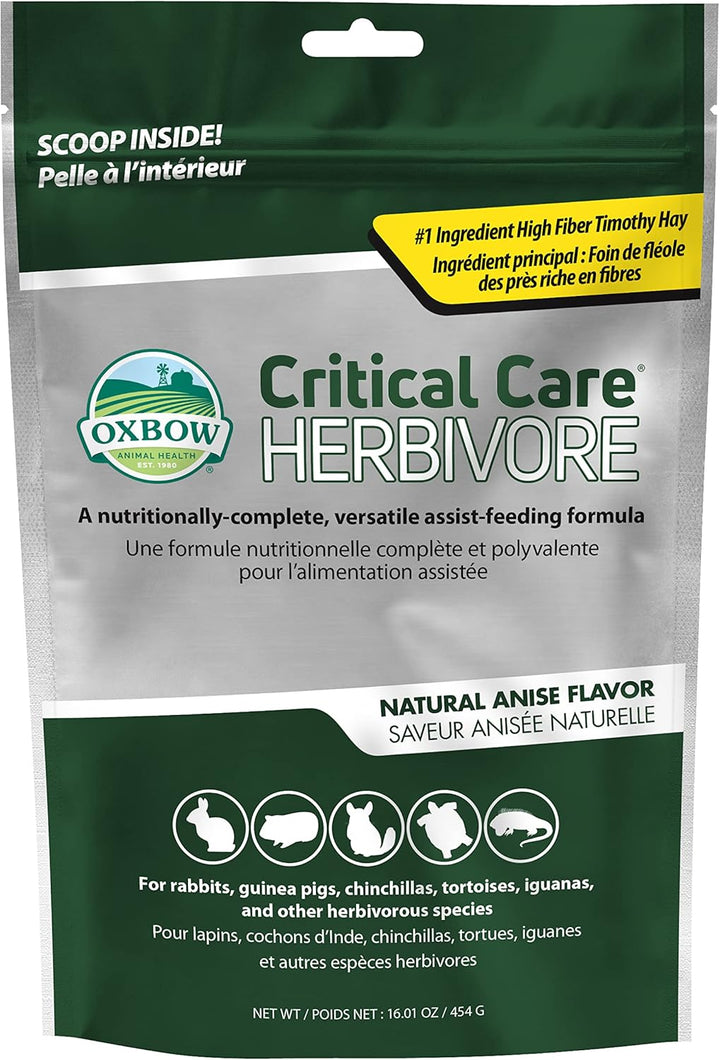 Critical Care Herbivore, Emergency Guinea Pig Food, Rabbit Food for Recovery, Natural Apple Banana Flavor, Veterinary Formula, Critical Care for Guinea Pig Emergency Kit, Made in USA, 141 Grams