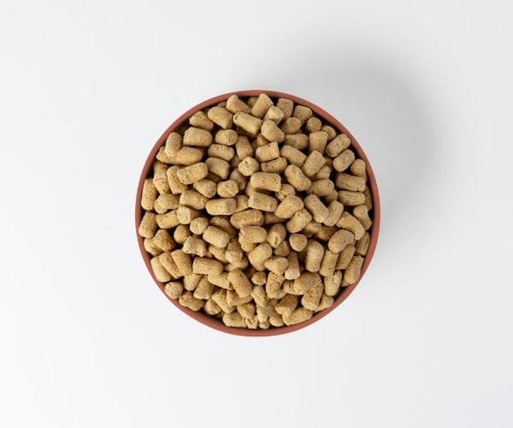 Freeze-Dried Raw Dog Food – Multi-Protein with Beef, Chicken, Fish, Liver & Organs, High Protein, Omega-3S, Fruits, Veggies & Superfoods, Grain-Free, No Fillers, 1 Lb – Made in USA