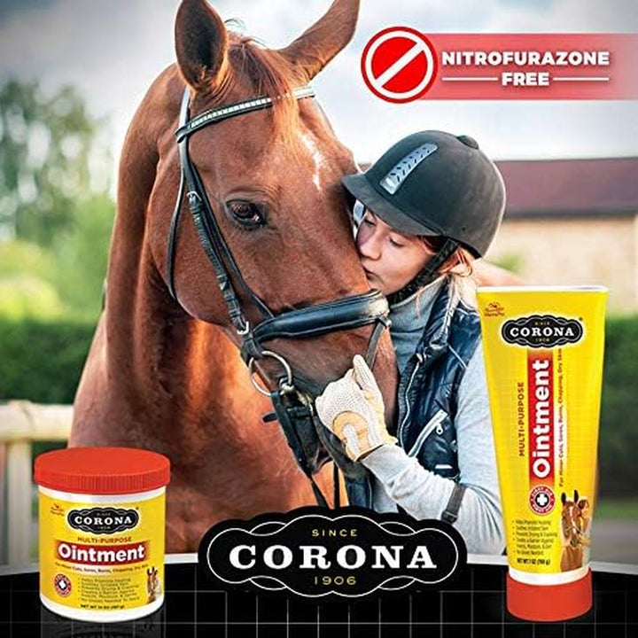 Manna Pro  Ointment for Horses | Lanolin-Based Formula Helps Sooth Irritation | 14 Ounces