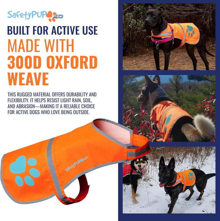 Reflective Dog Vest. Hi-Visibility, Fluorescent Blaze Orange Dog Vest Helps Protect Your Best Friend. Safeguard Your PUP from Motorists & Hunting Accidents, on or off Leash (Large)