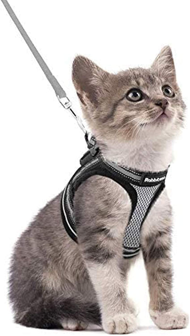 Cat Harness and Leash Set for Walking Escape Proof, Adjustable Soft Kittens Vest with Reflective Strip for Cats, Comfortable Outdoor Vest, Light Purple, S