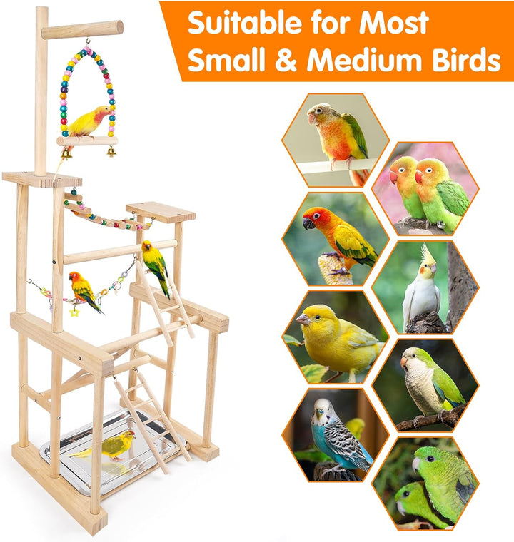 Bird Playground 4 Layer, Parrot Perch Stand Bird Play Stand for Parakeet Conure Cockatiel Lovebird Budgie, Parrot Playground with Feeder Cups, Ladder, Chain Toy, Swing and Detachable Tray