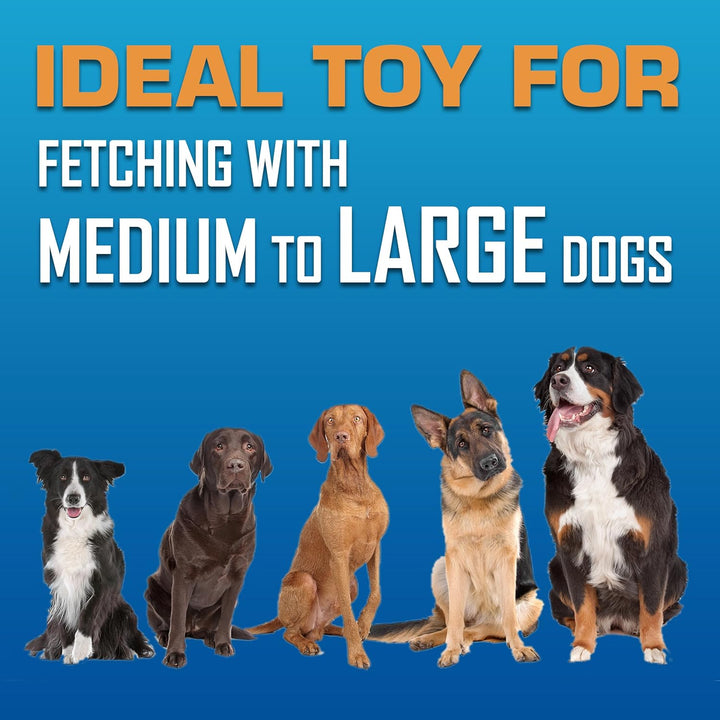 Tire Flyer Outdoor Dog Toy, 10 Inch Flying Disc Dog Fetch Toy, Rubber Dog Toy for Medium Dogs and Large Dogs, Blue