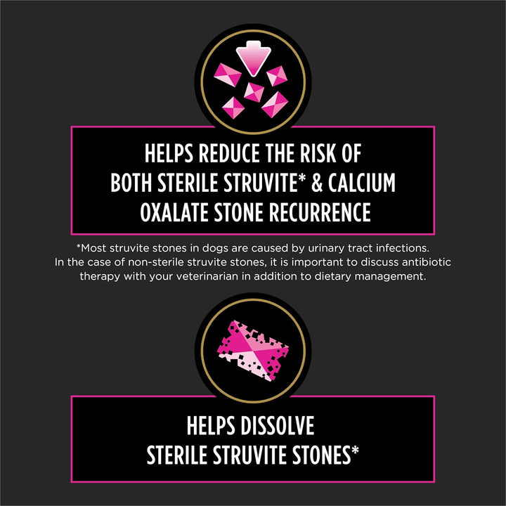 Purina  UR Urinary Ox/St Canine Formula Wet Dog Food - (Pack of 12) 13.3 Oz. Cans