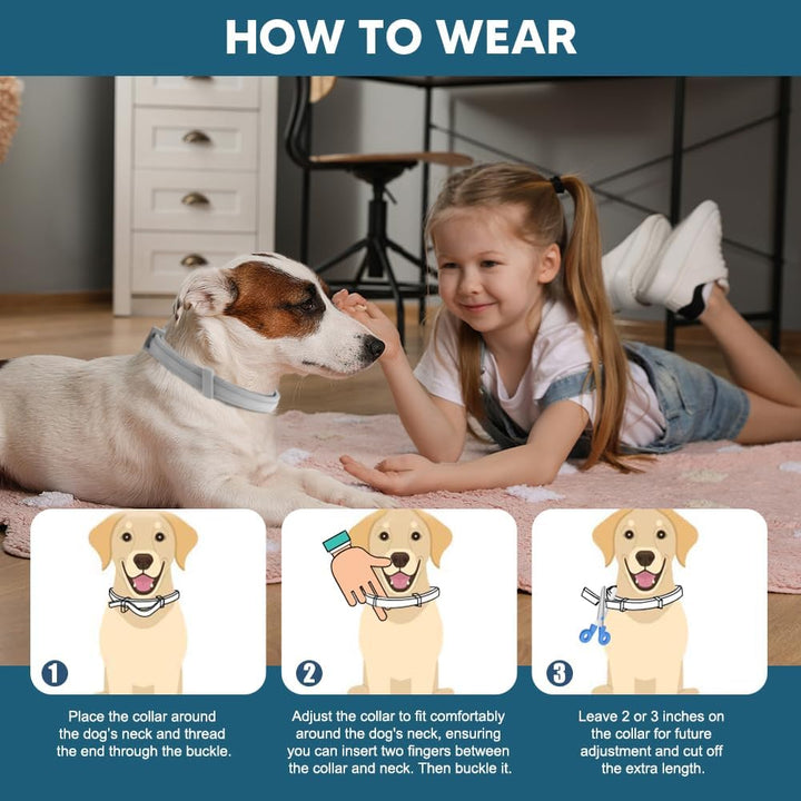 Flea Collar for Dogs, 8 Months Protection Flea & Tick Collars for Dogs, Dog Tick Collar, Adjustable One Size Fits All 2 Count ﻿