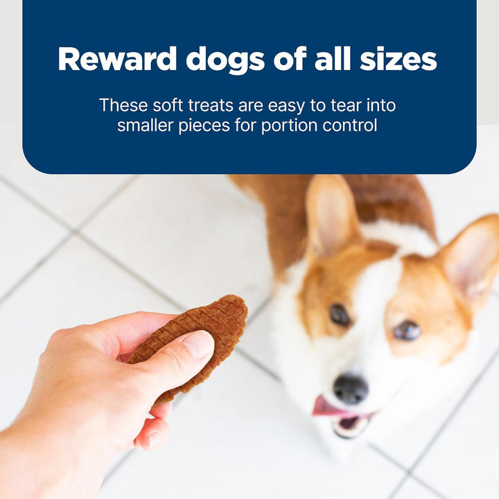 Nudges Jerky Bites Dog Treats, Made in the USA with Natural Ingredients, Bite-Sized Pieces, Chicken, 16-Oz Bag