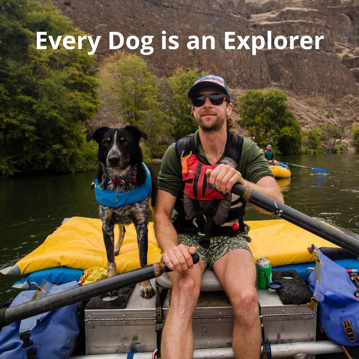 , Float Coat Dog Life Jacket, Premium Buoyancy Swim Vest with Lift Handle, Secure Fit & Reflective Trim, Adjustable Flotation for Swimming, Boating, & Outdoor Adventures, Wave Orange, Medium