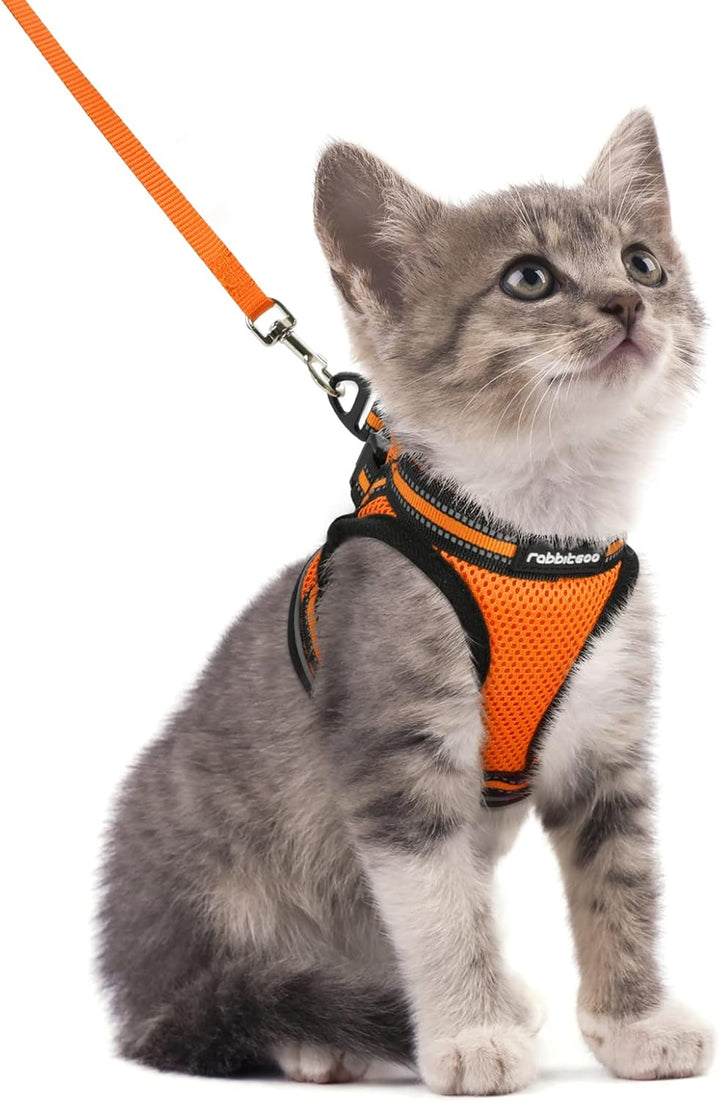 Cat Harness and Leash Set for Walking Escape Proof, Adjustable Soft Kittens Vest with Reflective Strip for Cats, Comfortable Outdoor Vest, Black, S