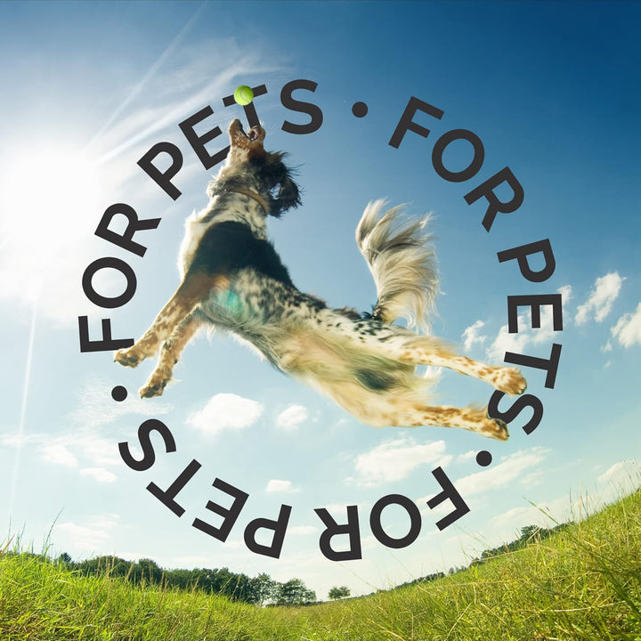 Salon Scents Pet Grooming Cologne - 8 Oz, Natural Professional Groomer Grade Perfume Deodorant for Dogs and Cats, Long Lasting, Deodorizing (Blueberry Pie)