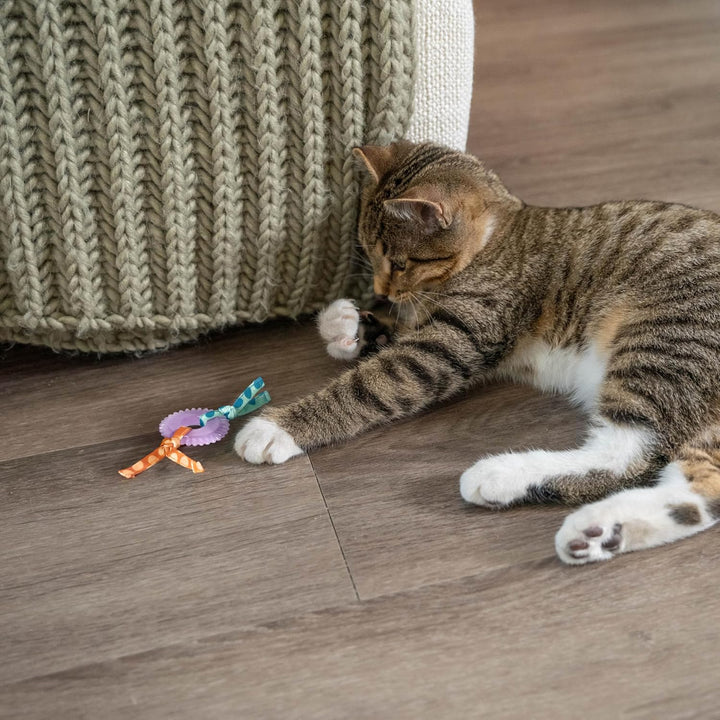 Kitty Chew Wheel, Dental Cat Toy with Catnip Oil, Teeth Cleaning, Healthy Chewing, Boredom Relief, Kicking & Batting for Kittens and Adult Cats, Purple