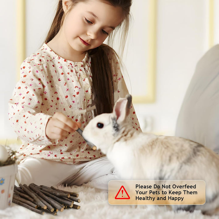 600G Organic Apple Sticks Small Animals Molar Wood Treats Toys for Chinchillas Guinea Pig Rabbits Hamster Gerbil Parrot Bunny Chew Stick Toys, 21.2 OZ