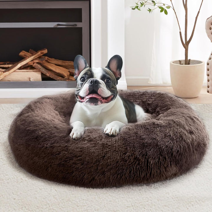 Small Dog & Cat Beds for Indoor Cats, Donut Cuddler Warming Soft Dog Beds with Anti-Slip Bottom, round Calming Fluffy Plush Faux Fur Cushion Bed for Small Medium Dogs (20", Smoke Grey)