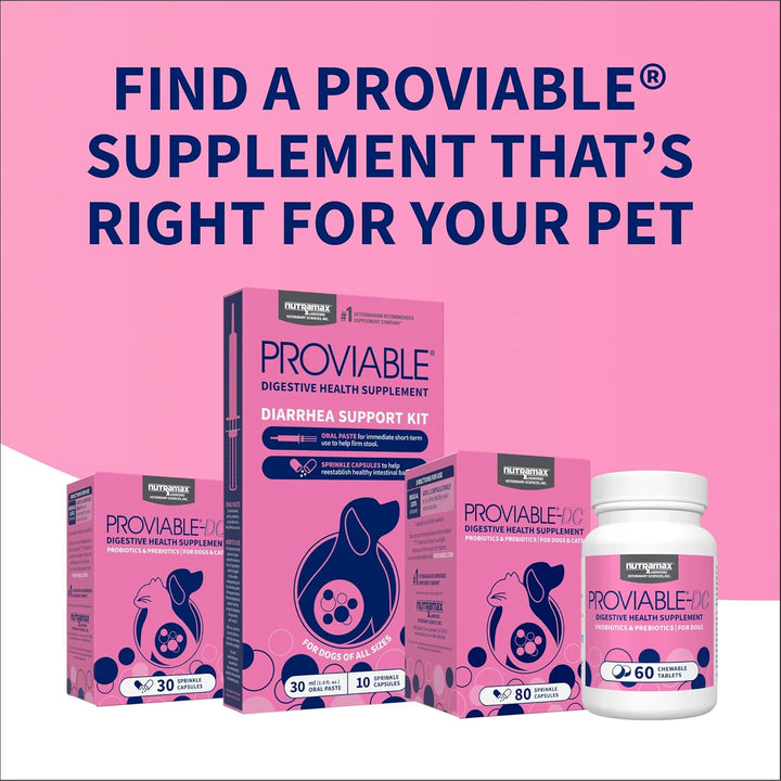 Nutramax Proviable Probiotics for Dogs and Cats, Daily Digestive Health Supplement with Multiple Strains of Bacteria, Cat and Dog Probiotics plus Prebiotics, 80 Capsules
