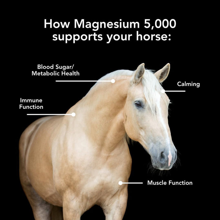 Magnesium 5000 (10Lb) Calming/Metabolism/Muscle Function Support for Horses.
