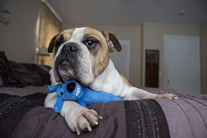 Loofa Dog Plush Toy W/ Birthday Hat - Squeaky Dog Toy for Dogs - Soft Plush - Stuffed Animal Dog Toys for Playing (1 Count, 12”, Random Color Surprise)