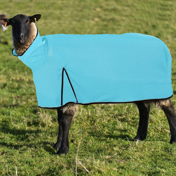 2 Pcs Sheep Blanket Mesh Medium Goat Blanket with Mesh Butt and Adjustable Belly Strap Fits Lambs 110-140 Lbs for Show Lambs, Offers Effective Protection from Fly Bites (Blue, Purple)