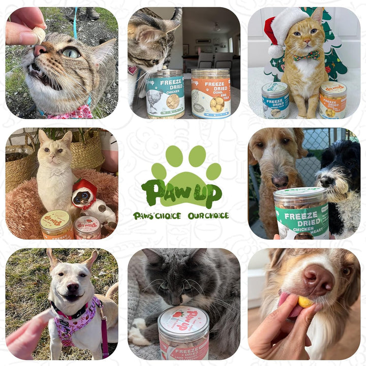 Freeze Dried Chicken for Dogs Cats, High Protein Raw Dog Food Topper, Single Fresh Ingredient Treats, 4.6Oz, Rawhide Free