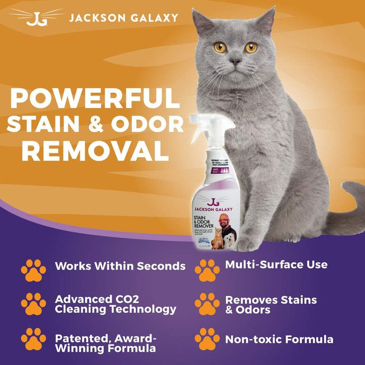 : Stain & Odor Remover - Pet Urine Remover - 23 Oz Bottle - 2 Fill Tablets Included - Eliminates Pet Stains & Odors Quickly - Works on Multiple Surfaces - Non-Toxic Formula