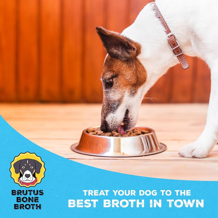 for Dogs - All Natural Bone Broth for Dogs with Chondroitin Glucosamine Turmeric -Human Grade Dog Food Toppers - Beef and Pork Bundle