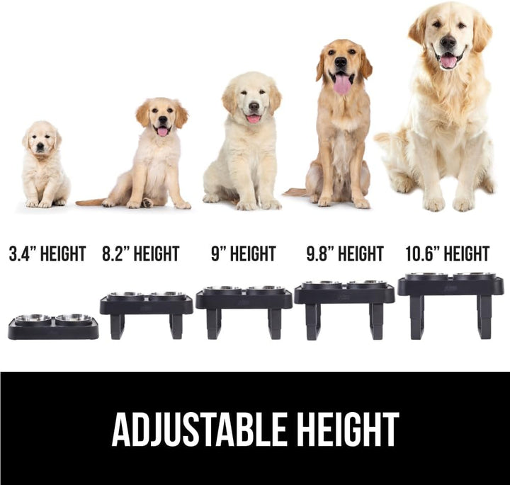 Elevated Dog Bowls Stand, 6 Cup Stainless Steel Food Bowl Set of 2, 5 Height Adjustable Raised Feeding Station for Small Breed Puppy Dogs and Cats, Medium, Large Sized Pets Feeder, Black