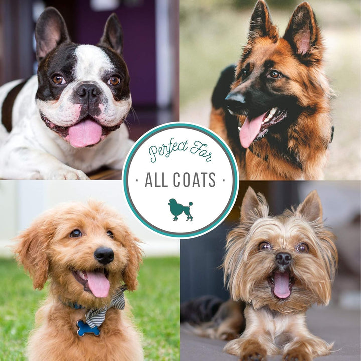 Plum Silky Dog Cologne for Pets, Natural Choice for Professional Groomers, Ready to Use Perfume, Finishing Spray, Made in USA, 8 Oz