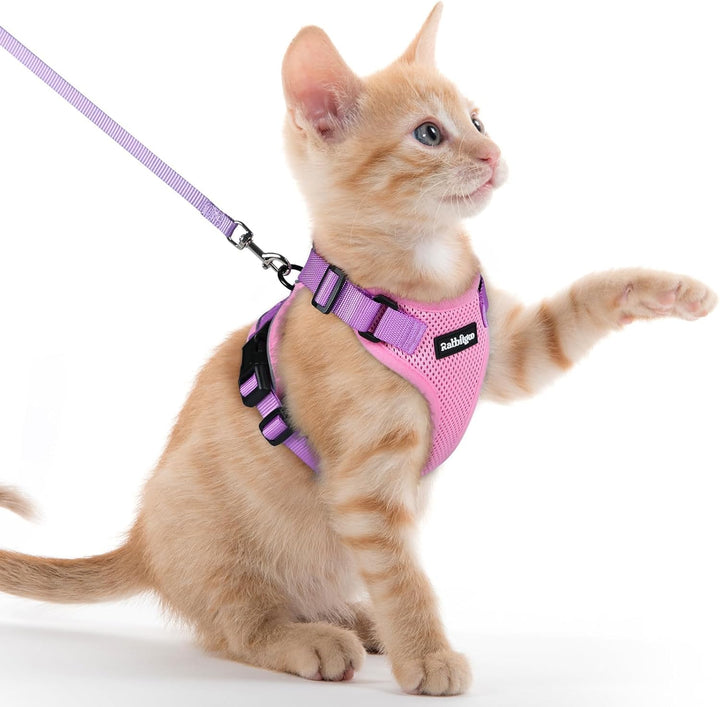 Cat Harness and Leash for Walking, Escape Proof Soft Adjustable Vest Harnesses for Cats, Easy Control Breathable Reflective Strips Jacket, Black, XS