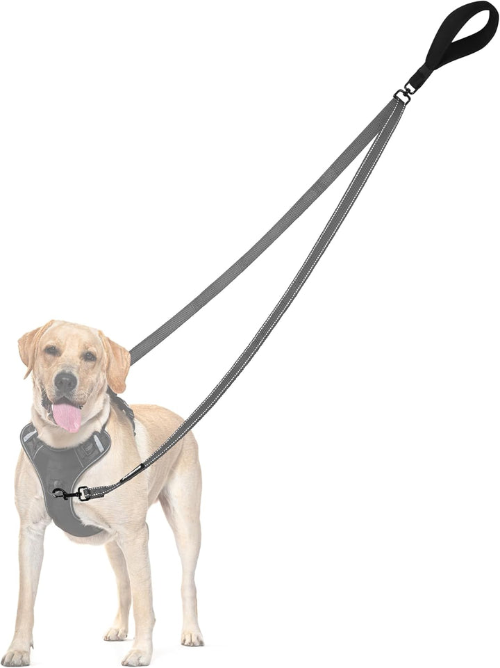 Two Point Control Dog Leash, Works with No Pull Harnesses, No Tangle Training Leashes, Soft Padded and Reflective Walking Lead, Converts to Single Lead for Medium Large Dogs (Black)