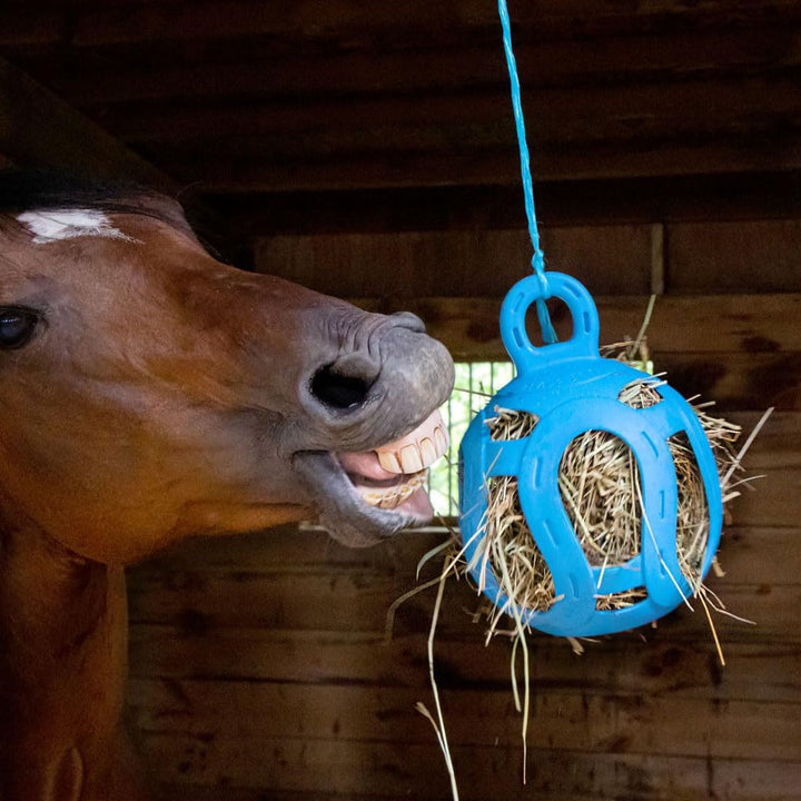 Jolly Hay Ball Stall Toy for Horses, Blue, 8"