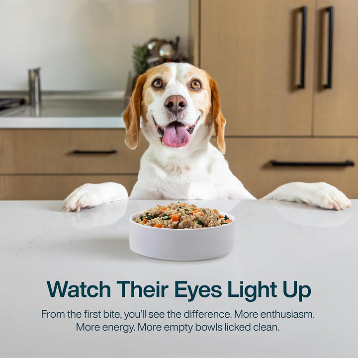 Frozen Fresh Dog Food, Complete Meal or Topper, Beef & Russet Potato Human Grade Recipe, 18 Oz (Pack of 7)