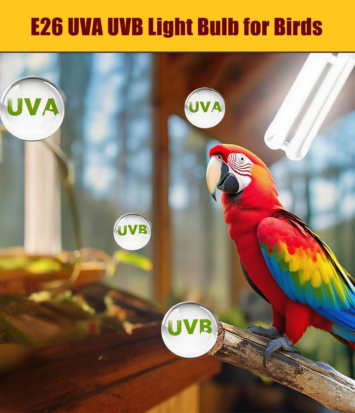 2 Pack E26 UVA UVB Light Bulb for Birds 2.4 UVB 20W Compact Flourescent Lamp for All Kinds Captive Birds, Natural Sunlight Simulation Bird Parrot Light Bulb