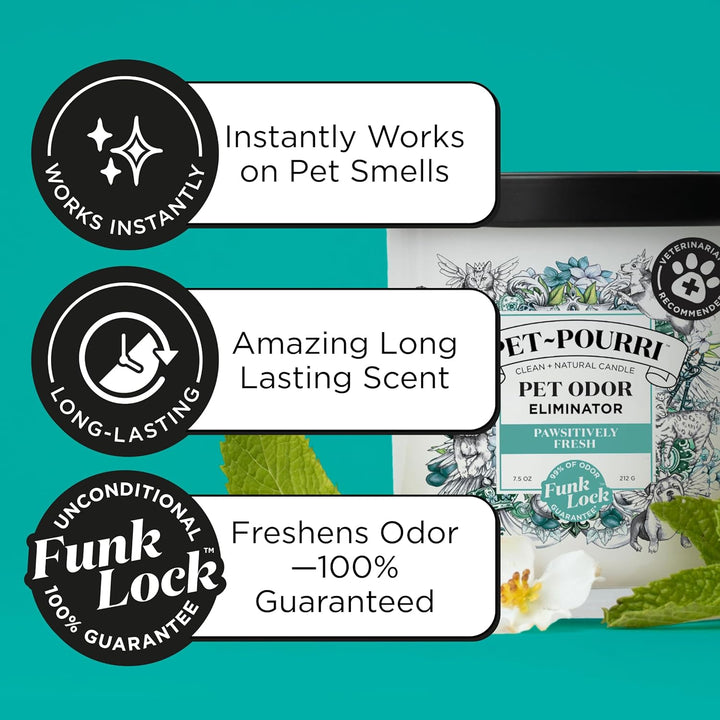 Pet-Pourri Pawsitively Fresh Pet Odor Deodorizer Candle, Burns up to 45 Hours, Aromatherapy & Air Freshener with Essential Oils, Plant Based Ingredients & Wax, Vet Approved, Jasmine Pear Scent