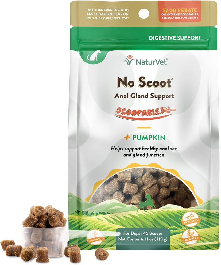 - No Scoot for Dogs - 60 Soft Chews - plus Pumpkin - Supports Healthy Anal Gland & Bowel Function - Enhanced with Beet Pulp & Psyllium Husk