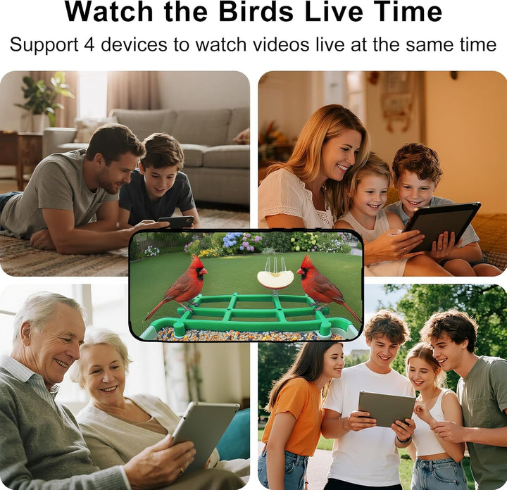 Bird Feeder with Camera AI Identify Birds Species Solar Panel - Smart Bird House with 1080P HD+ Video Live Stream, Instant Arrival Alerts, Live View, Capture Video, Bird Lover Watching (Green)