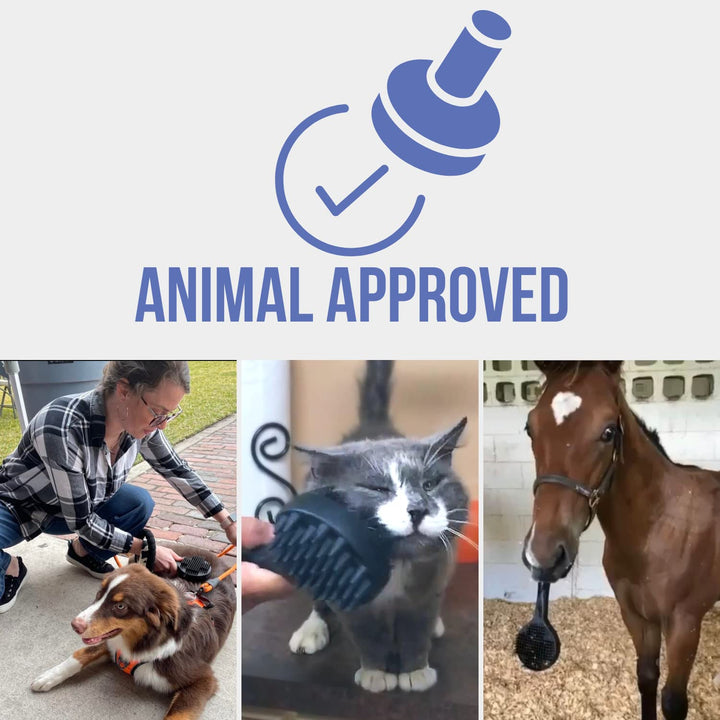 Curry on a Stik' - Dog Brush for Shedding, Grooming, Bathing, & Therapeutic Massage Tool - for Long & Short Haired Dogs - Decreases Shedding & Increases Coat Health - Veterinarian Approved - Ergonomic