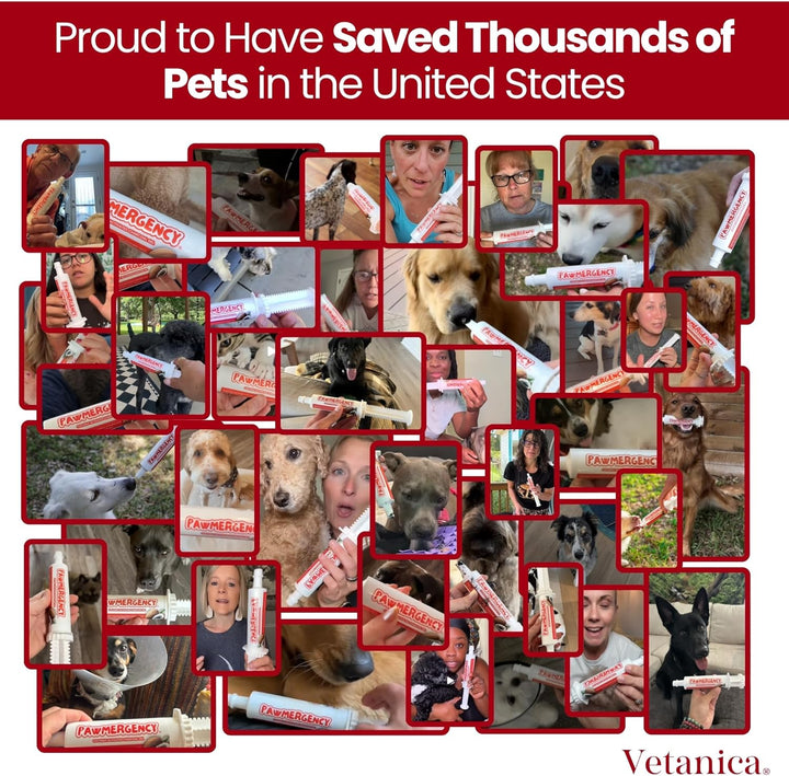 Pawmergency – Activated Charcoal First Aid Kit Emergency Rescue for Dogs, Cats, Puppy & Pet Poisoning Kit, Camping Survival Remedy Essential, Oral anti Diarrhea Digestive Paste Ready to Absorb Toxins